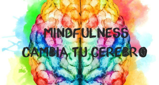 Mindfulness cambia tu cerebro